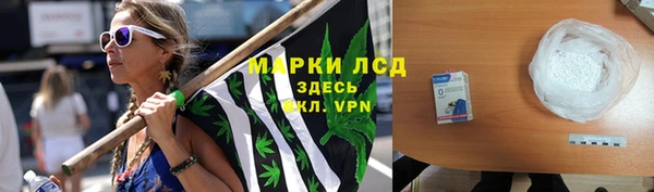 прущие грибы Балахна