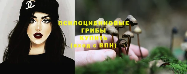 прущие грибы Балахна