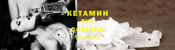 прущие грибы Балахна