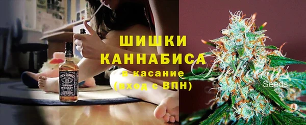 прущие грибы Балахна