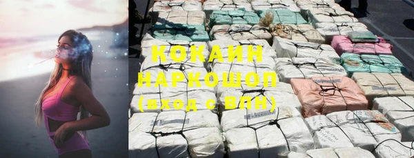 прущие грибы Балахна