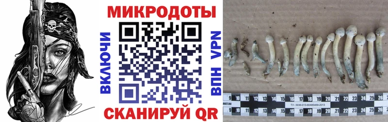 купить наркоту Краснозаводск Галлюциногенные грибы мухоморы